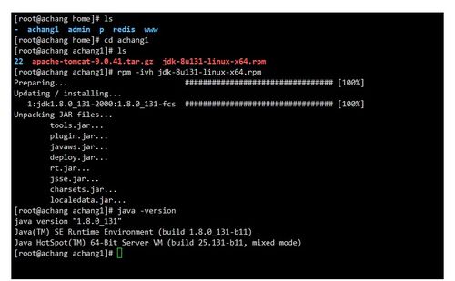 Linux系統服務入門 三種軟件安裝方式與服務器環境搭建